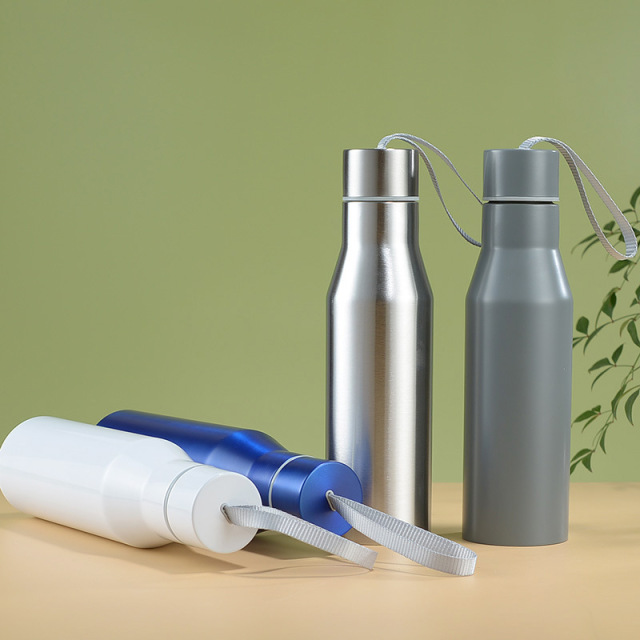 17oz Stainless Steel Insulated Water Bottle
