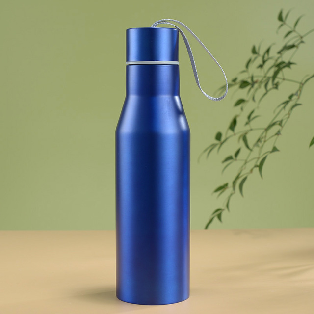 17oz Stainless Steel Insulated Water Bottle