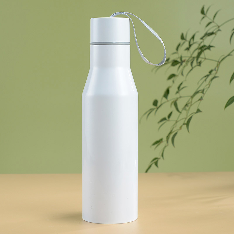 17oz Stainless Steel Insulated Water Bottle