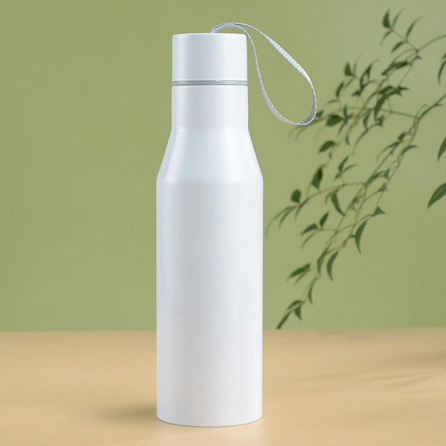 17oz Stainless Steel Insulated Water Bottle