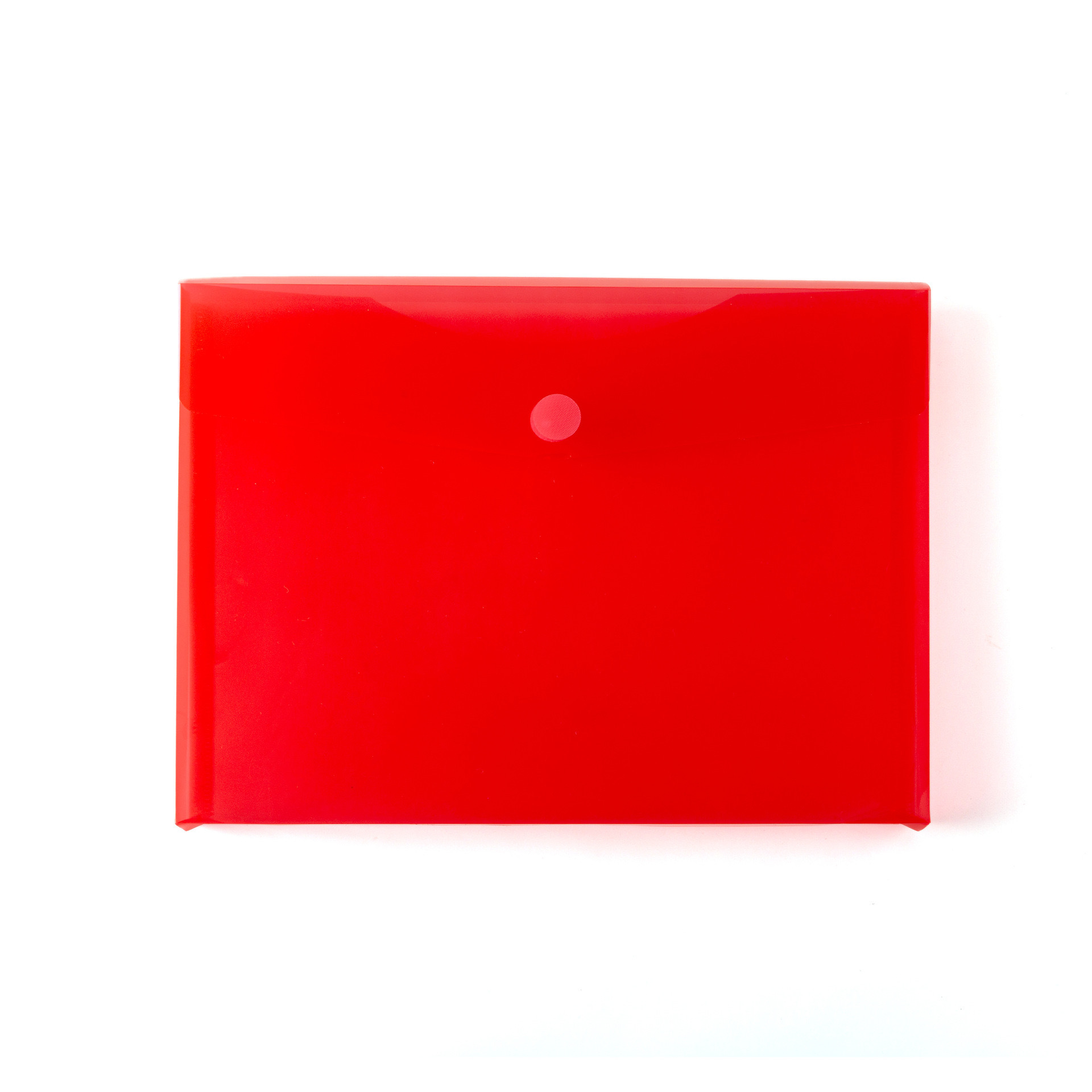 Transparent Document Bag