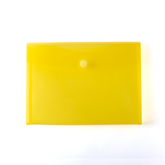 Transparent Document Bag
