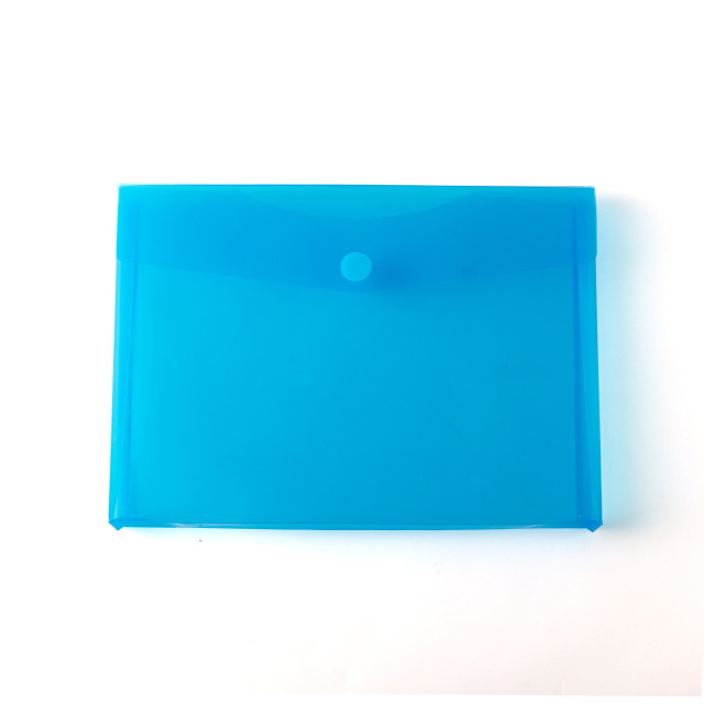 Transparent Document Bag