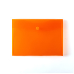 Transparent Document Bag