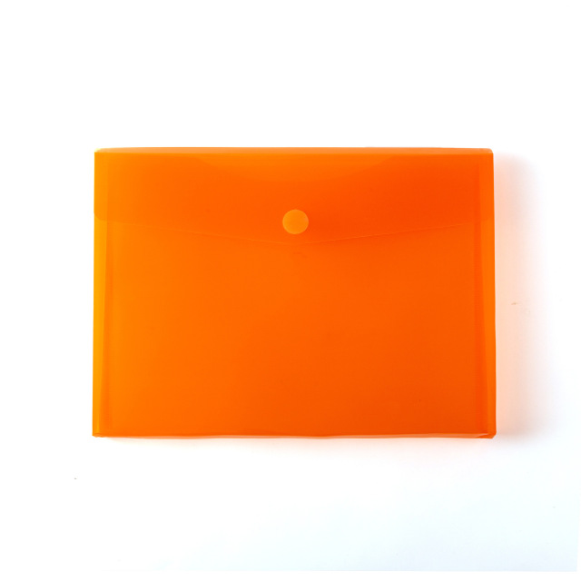 Transparent Document Bag