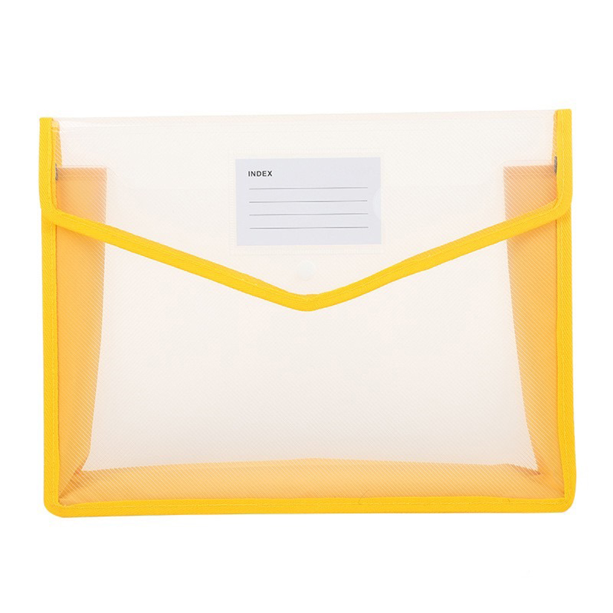 Transparent Document Bag A4 Size