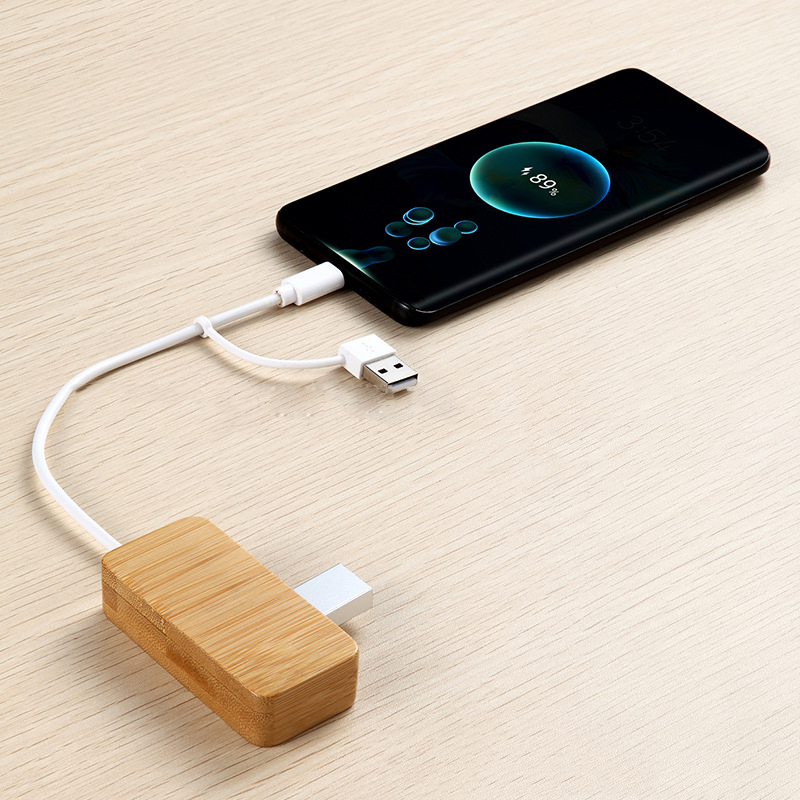 Mini Bamboo Dual USB Hub