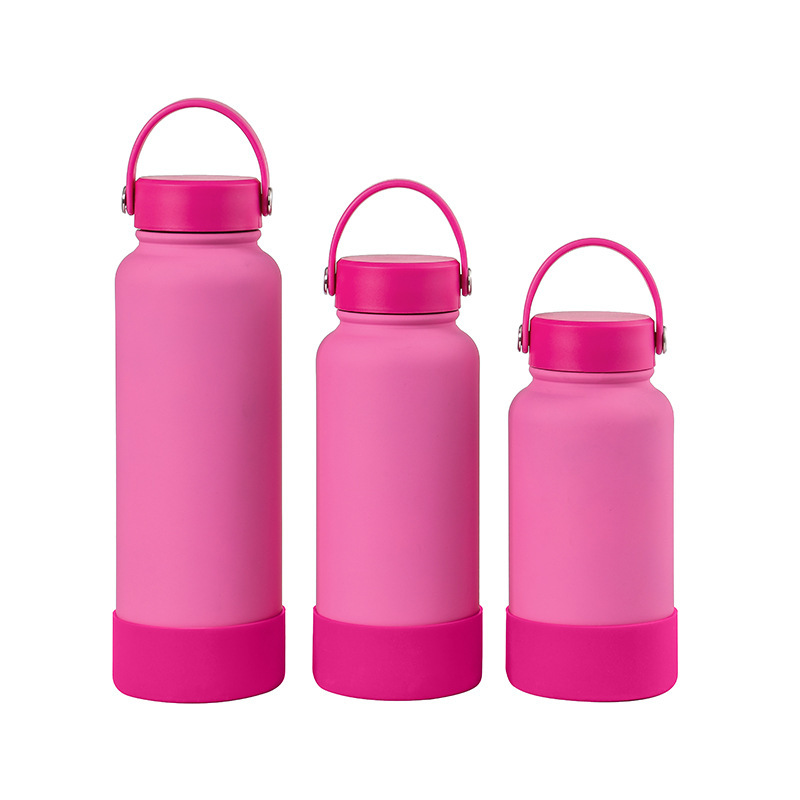 Insulated Sports Water Bottle with Portable Stainless Lid