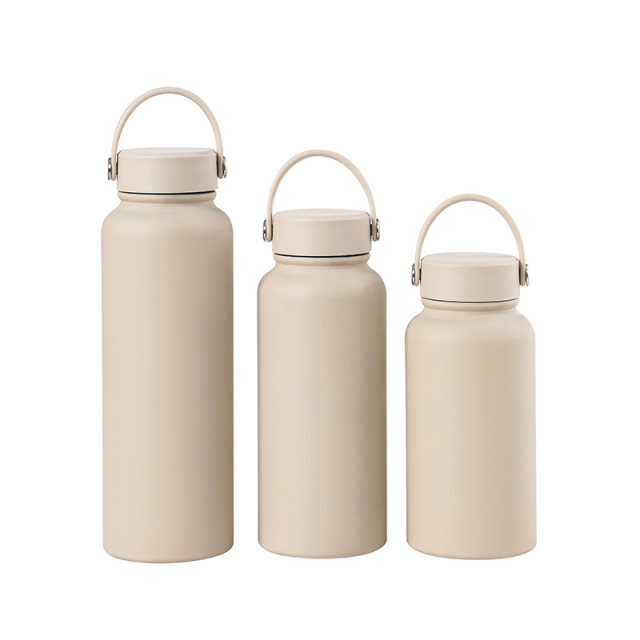 Insulated Sports Water Bottle with Portable Stainless Lid