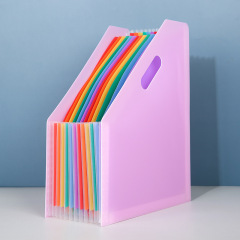 Rainbow Accordian File Organizer