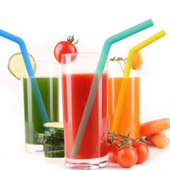 Foldable Silicone Straw Set