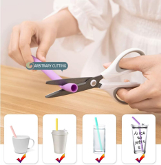 Silicone Foldable Portable Drinking Straw Set