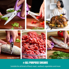 Ultra Sharp Stainless Steel Kitchen Shears 