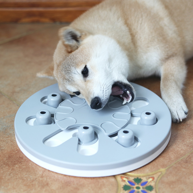 Dog Treat Chew Toy