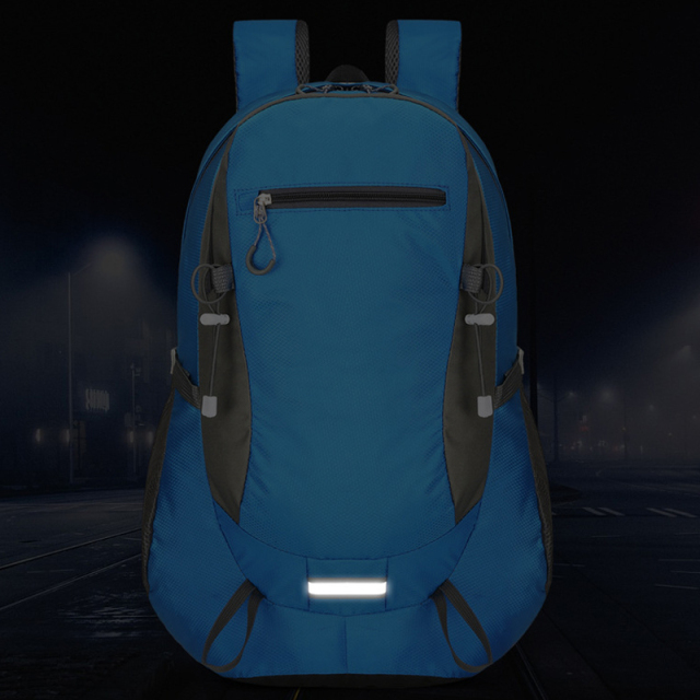 Foldable Water-Resistant Daypack