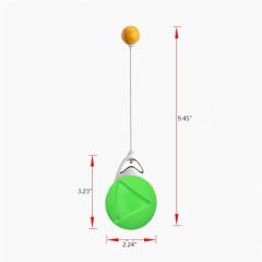 Interactive Pet Ball Balance Car Toy