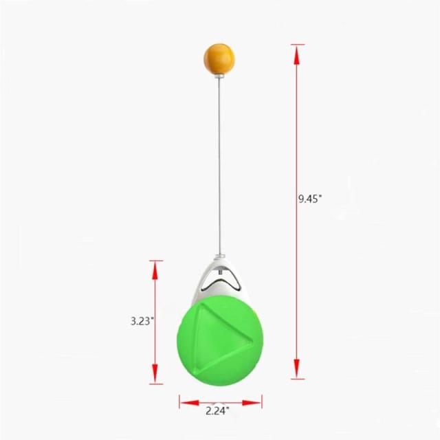 Interactive Pet Ball Balance Car Toy