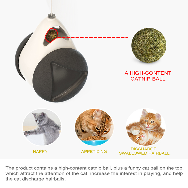 Interactive Pet Ball Balance Car Toy