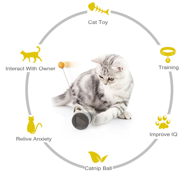 Interactive Pet Ball Balance Car Toy