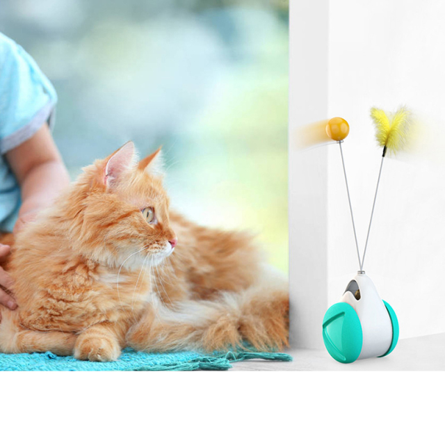 Interactive Pet Ball Balance Car Toy