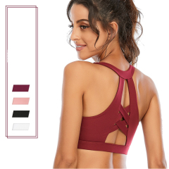 Women Workout Crop Top Bra