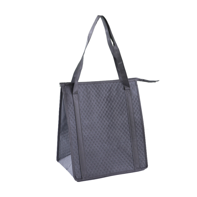 Insulated Tote Bag