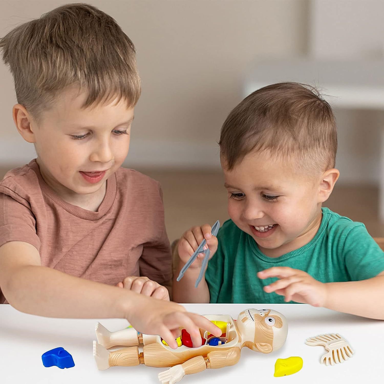 Kids Early Educational Learning Toys Human Organs Model