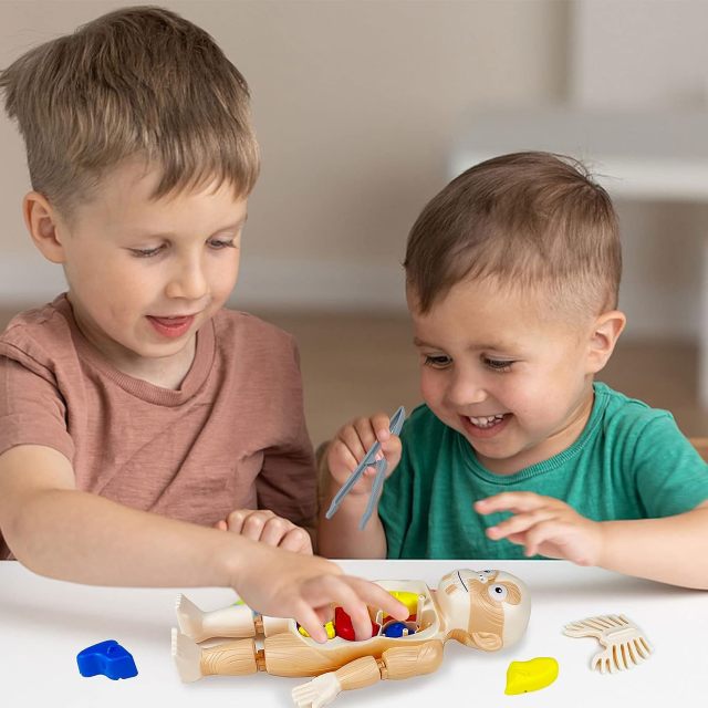 Kids Early Educational Learning Toys Human Organs Model
