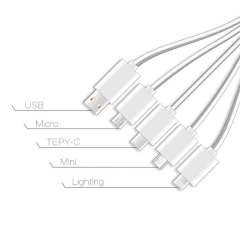 Light Up 5 In 1 Charging Cable