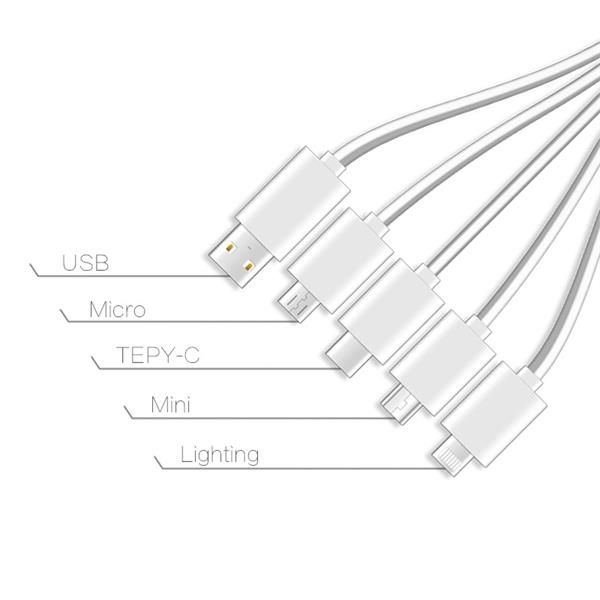 Light Up 5 In 1 Charging Cable
