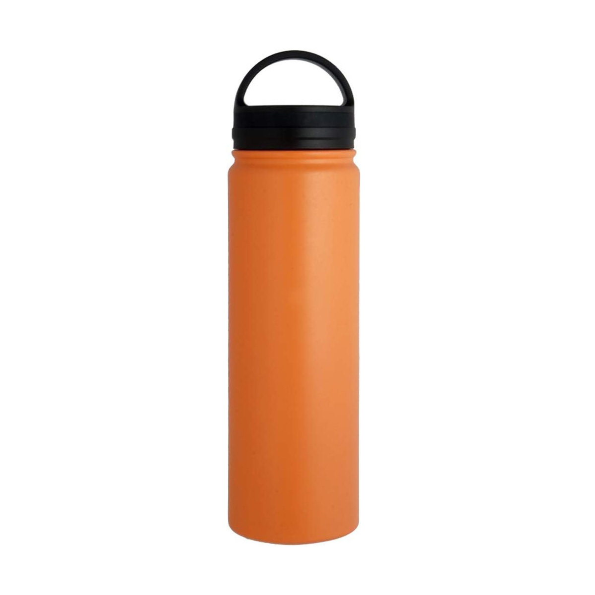 22 Oz Stainless Steel Sport Bottle