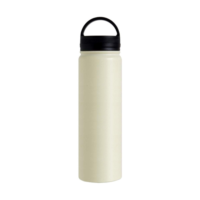 22 Oz Stainless Steel Sport Bottle