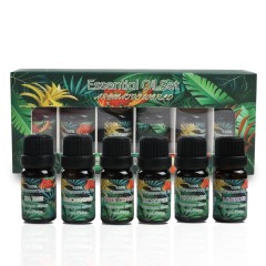 6Pcs Essential Oils Gift Set