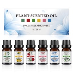 6Pcs Essential Oils Gift Set