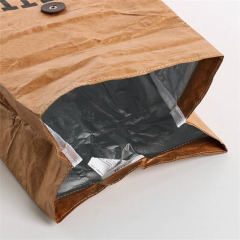 Reusable Tyvek Insulated Paper Cooler Lunch bag
