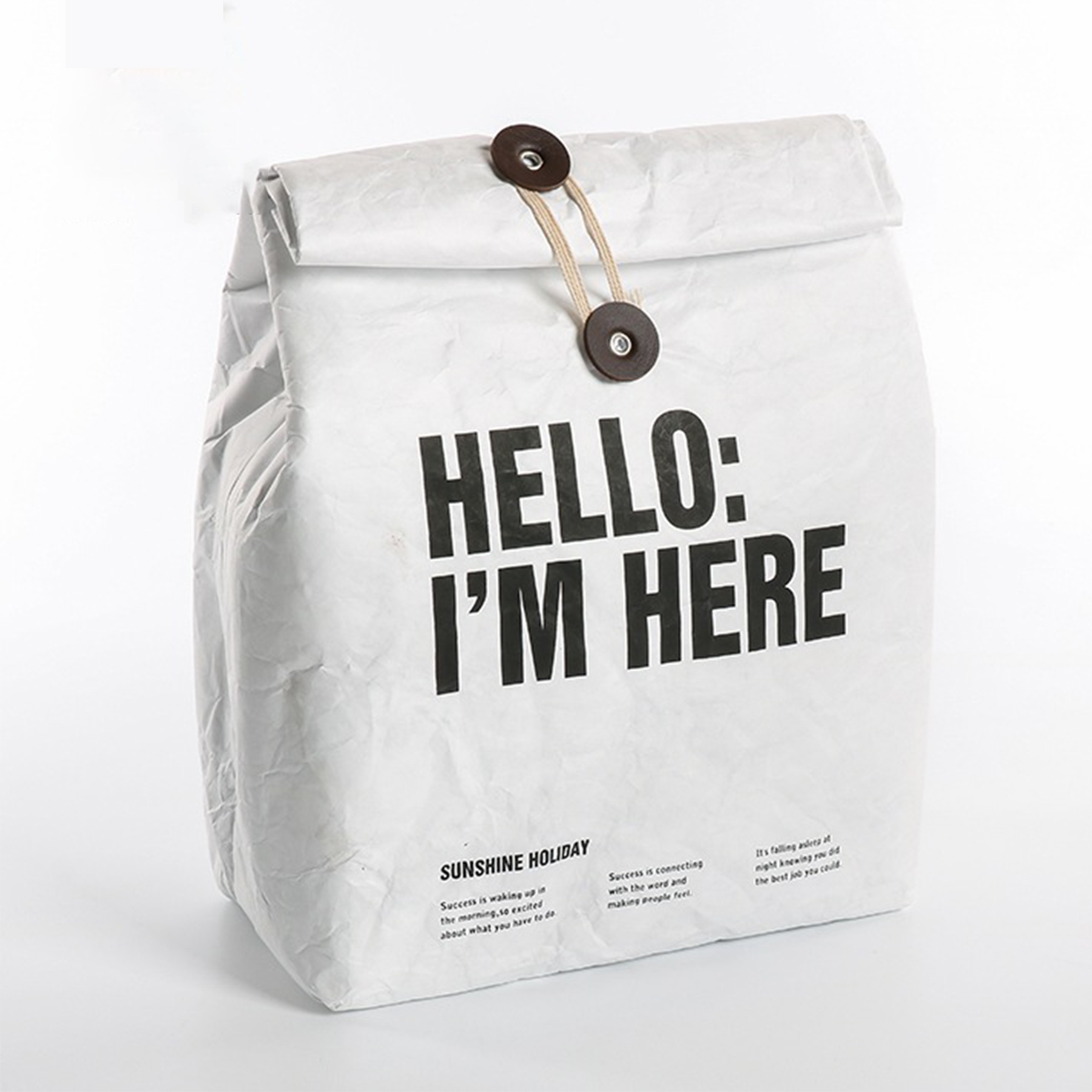 Reusable Tyvek Insulated Paper Cooler Lunch bag