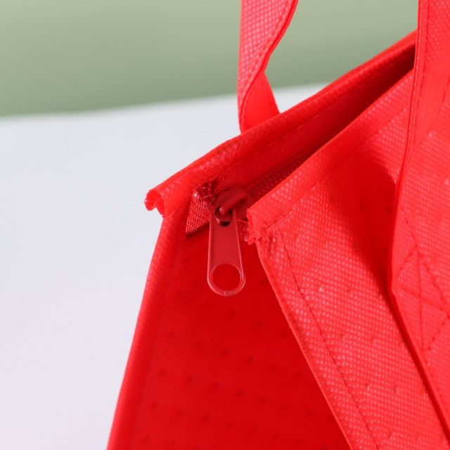 Beach Tote Bag with Insulated Can Cooler
