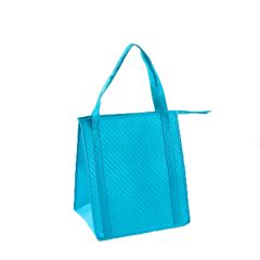 Beach Tote Bag with Insulated Can Cooler
