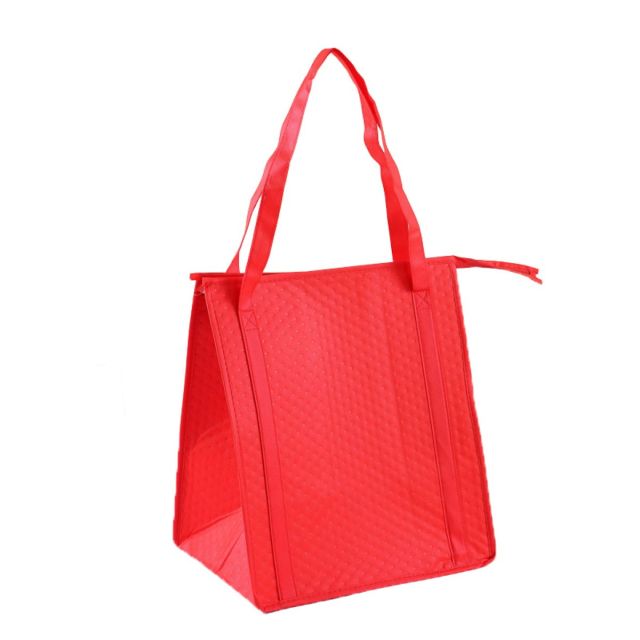 Beach Tote Bag with Insulated Can Cooler