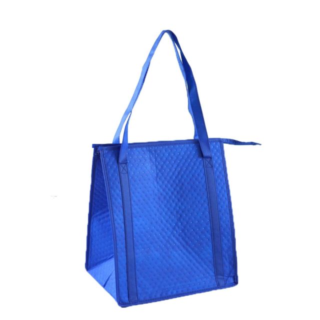 Beach Tote Bag with Insulated Can Cooler