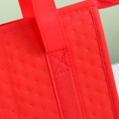 Beach Tote Bag with Insulated Can Cooler