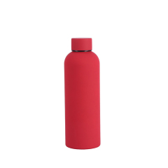 Insulated Stainless Steel Bottle