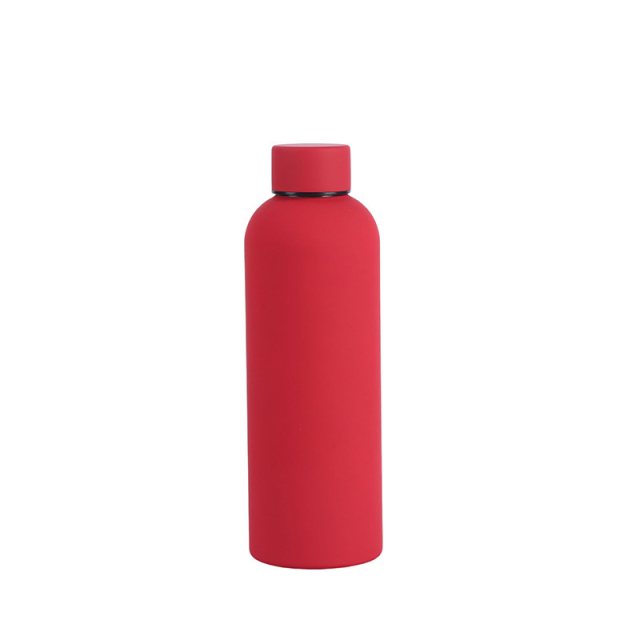 Insulated Stainless Steel Bottle