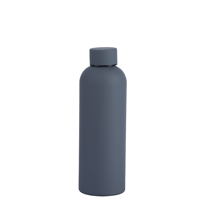 Insulated Stainless Steel Bottle