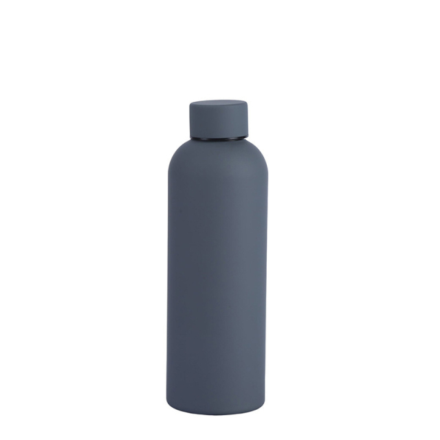 Insulated Stainless Steel Bottle