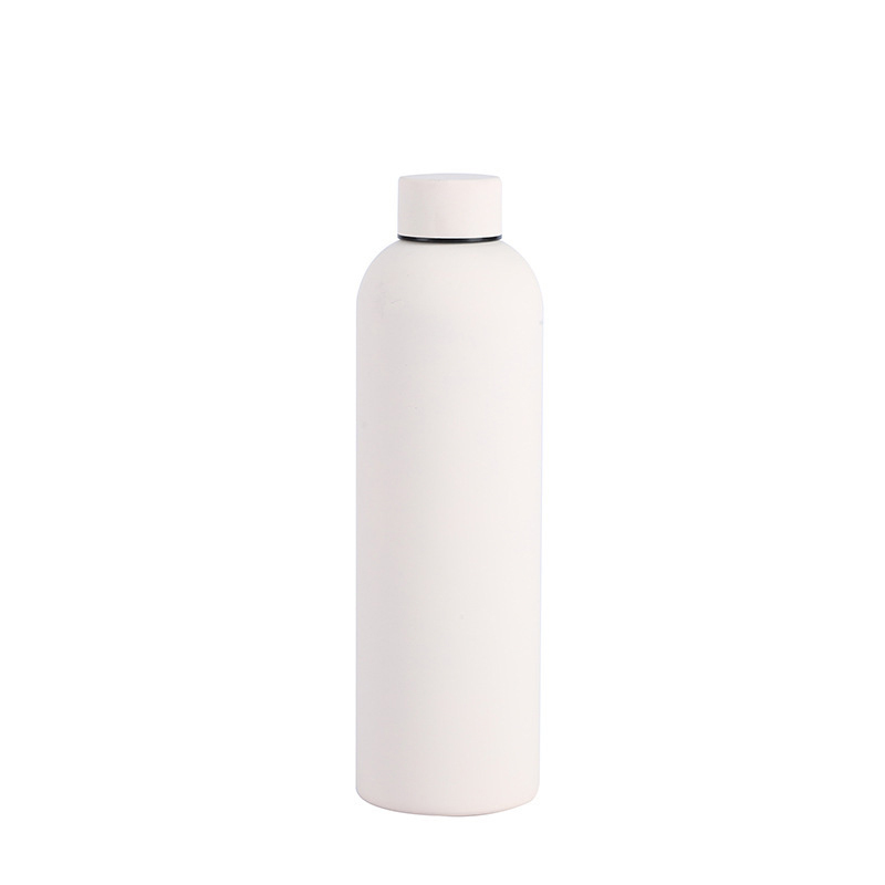 Insulated Stainless Steel Bottle
