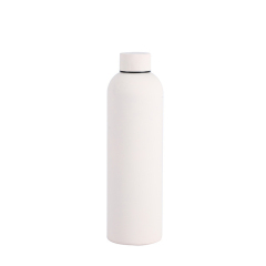 Insulated Stainless Steel Bottle