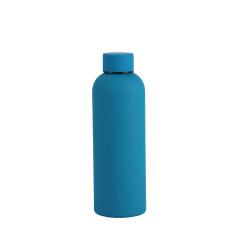 Insulated Stainless Steel Bottle