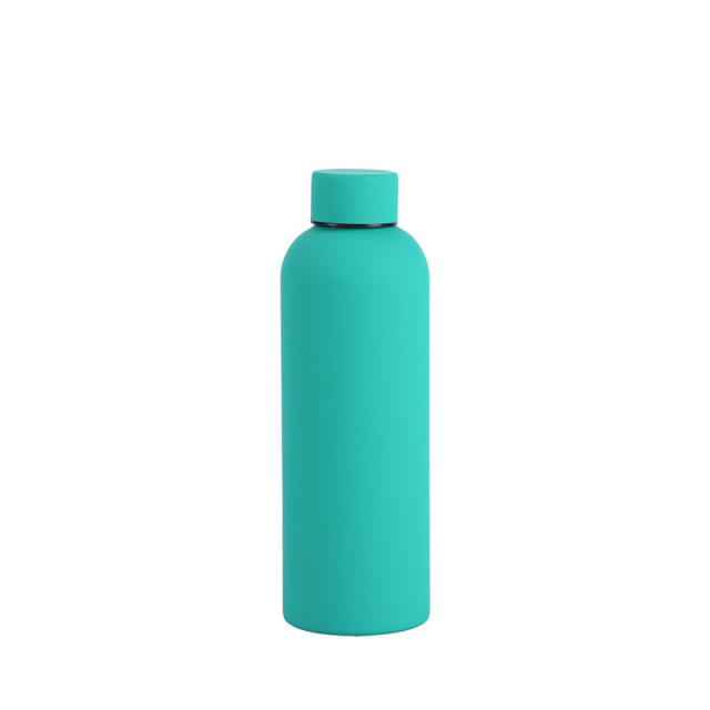 Insulated Stainless Steel Bottle