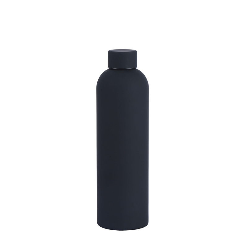 Insulated Stainless Steel Bottle